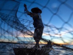 Hasil Tangkapan Laut Sumatera Barat di Garap oleh Pemprov Setempat