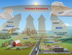 Clean Air Act : Undang-Undang yang Menyelamatkan Jutaan Nyawa di AS