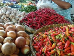 Jelang Nataru, Harga Cabai dan Bawang di Pasar Raya Padang Turun Signifikan