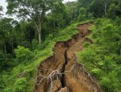Retakan Tanah Terjadi di Sejumlah Wilayah Pasaman, Pemkab Bergerak Cepat Lakukan Mitigasi