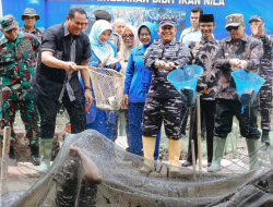 Dukung Ketahanan Pangan Nasional 2026, Kodaeral II Padang Panen 1,5 Ton Nila dan Tebar 5.000 Bibit di Pariaman